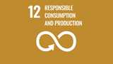 可持续发展目标12:确保可持续的消费和生产模式